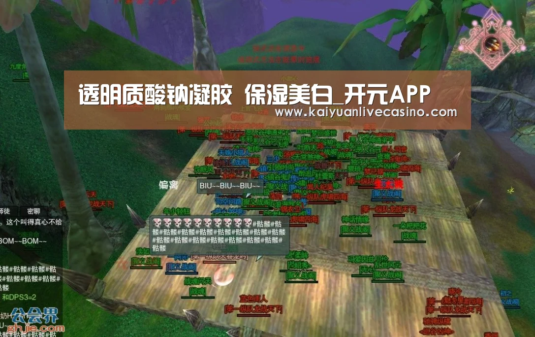 透明质酸钠凝胶 保湿美白_开元APP(图4) 开元APP