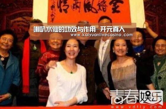 喇叭水仙的功效与作用-开元真人