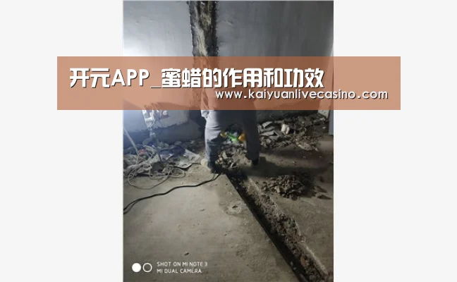开元电竞